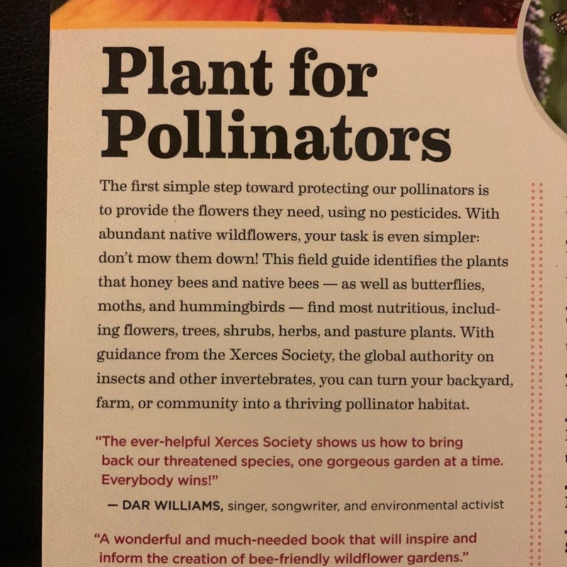 100 Plants to Feed the Bees