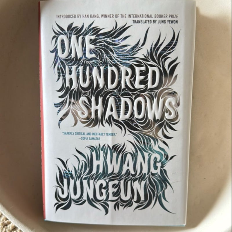 One Hundred Shadows