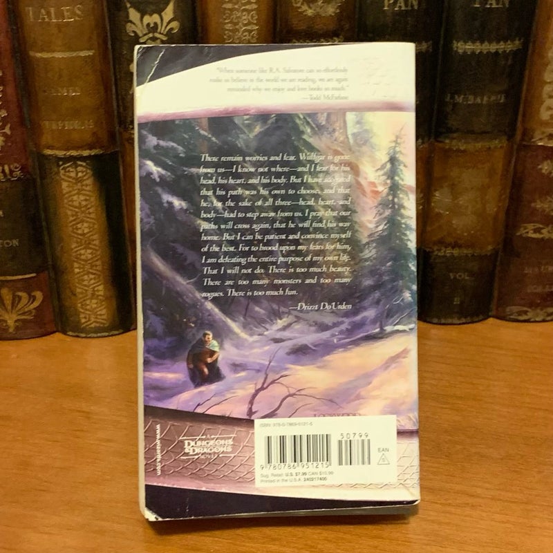 Forgotten Realms: Sea of Swords, Legend of Drizzt, Paths of Darkness 3