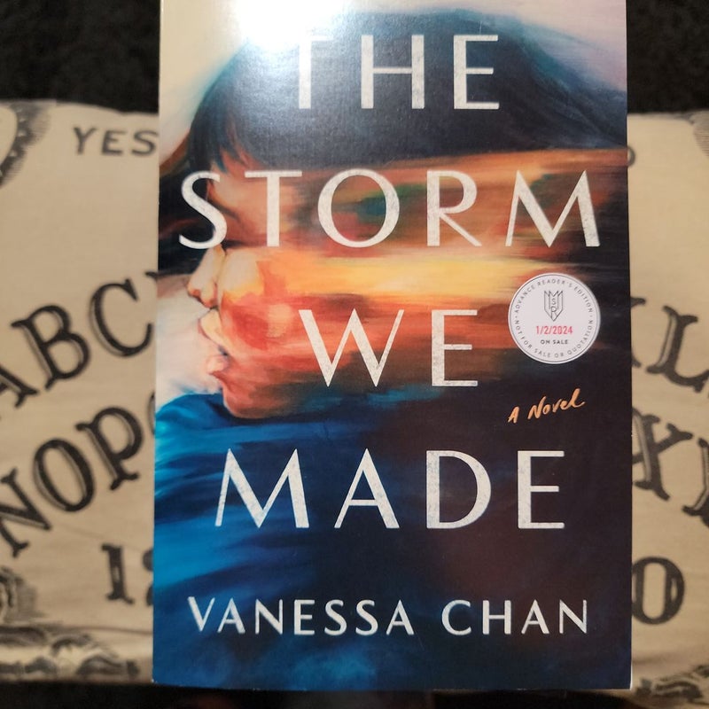 The Storm We Made: A Novel See more