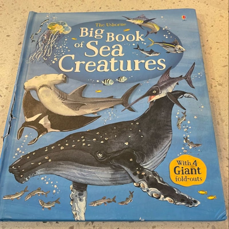 Big Book of Sea Creatures