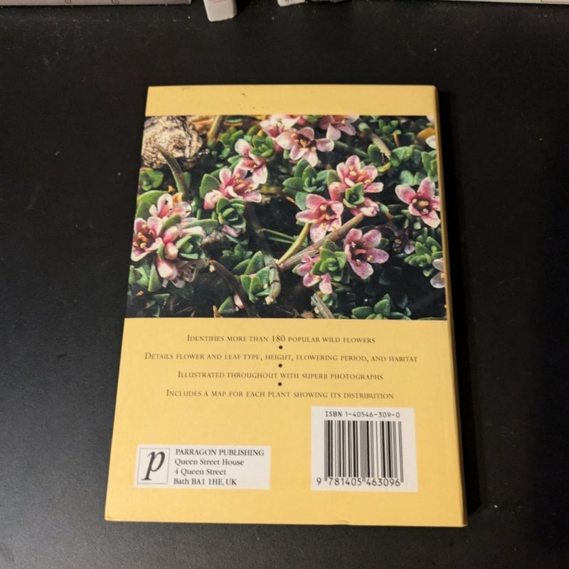 A Pocket Guide to Wild Flowers of North America