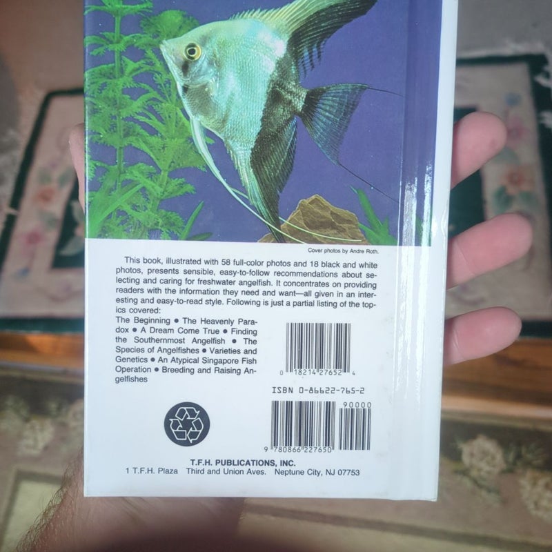 Freshwater Angelfish