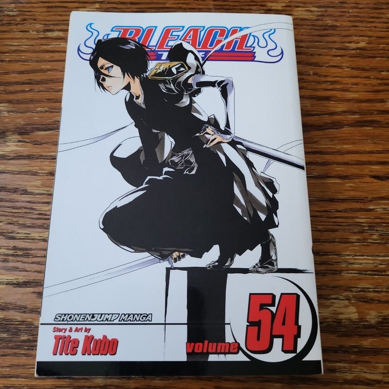 Bleach, Vol. 54