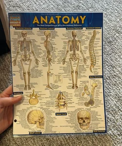 Anatomy - Reference Guide (8. 5 X 11)