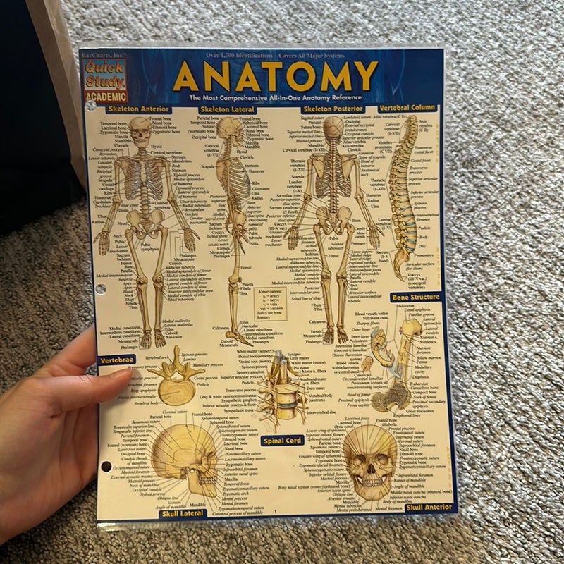 Anatomy - Reference Guide (8. 5 X 11)