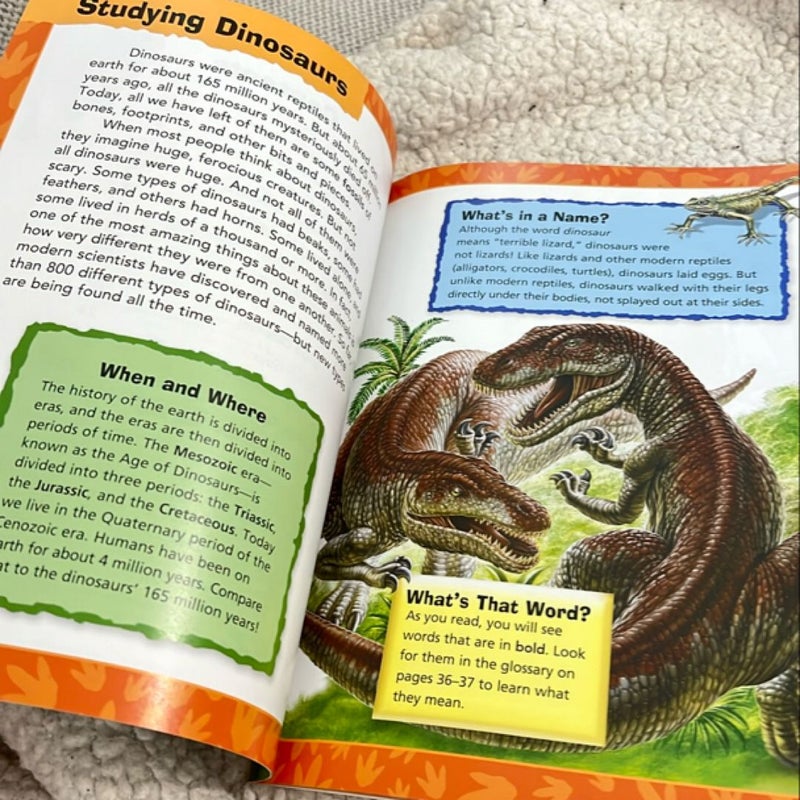 Animal Adventures: Dinosaurs