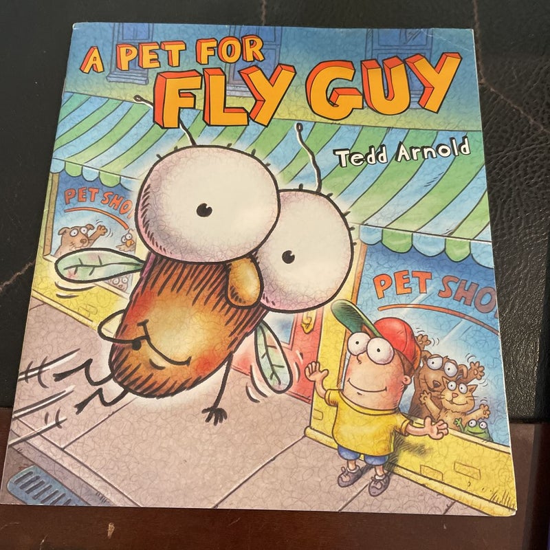 A Pet for Fly Guy