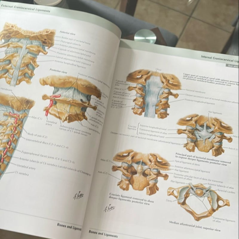 Atlas of Human Anatomy
