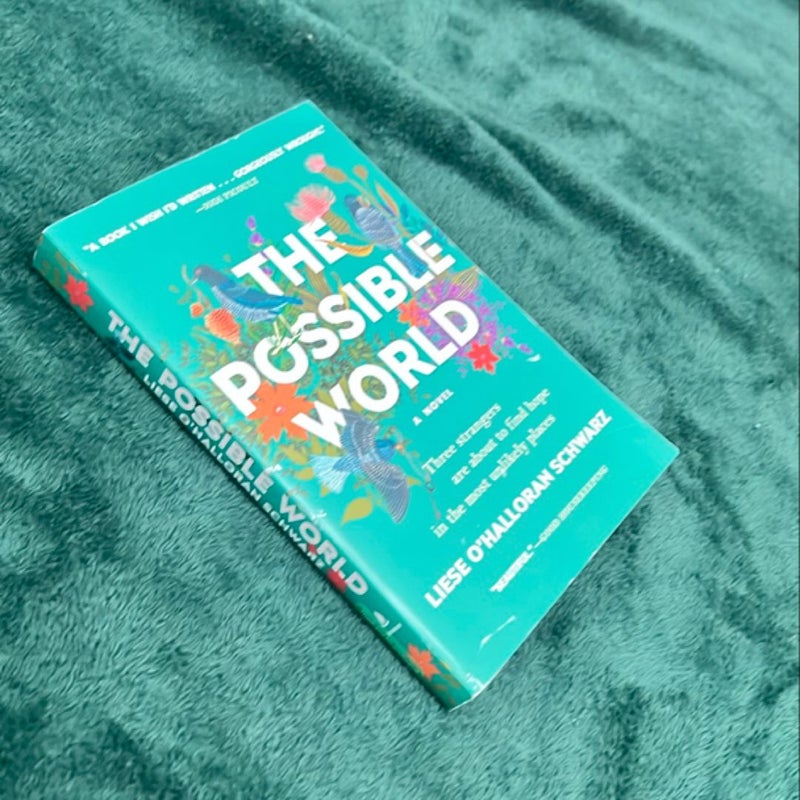 The Possible World