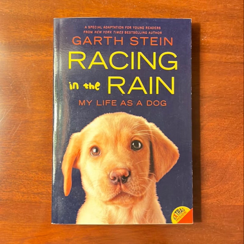 Racing in the Rain