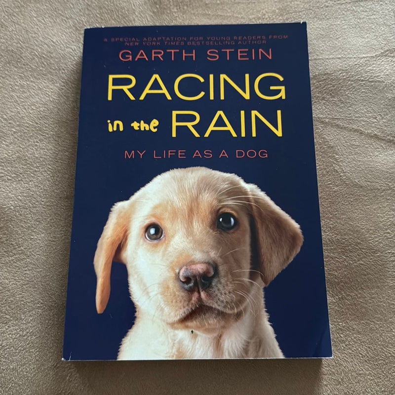 Racing In The Rain