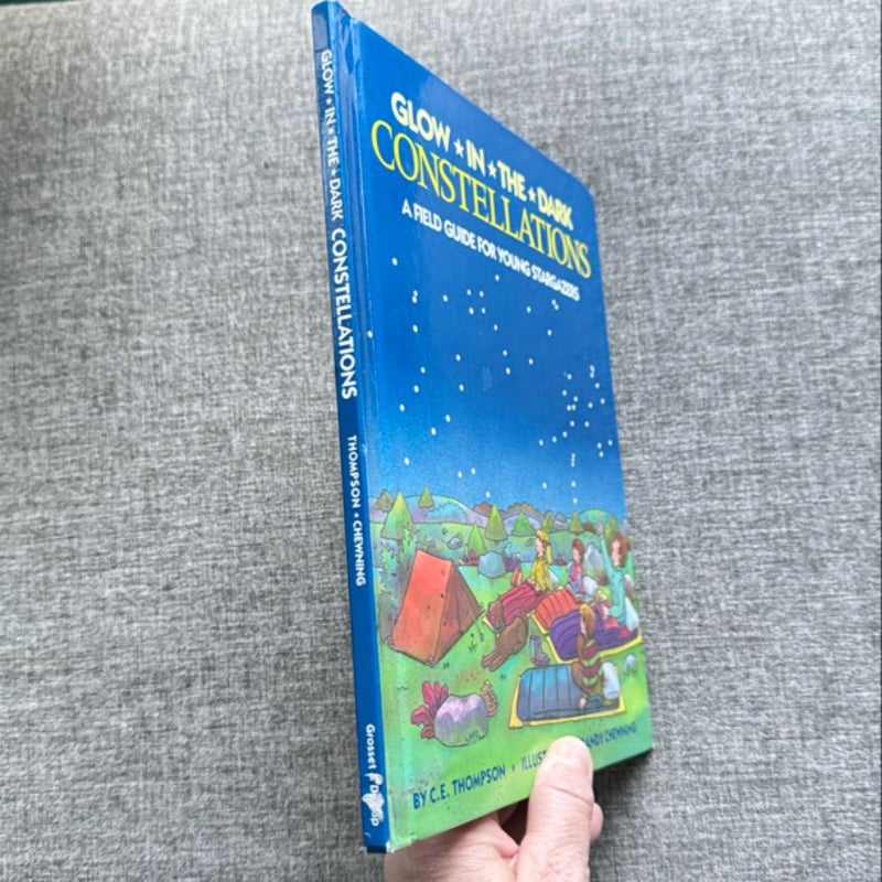 Glow-In-the-Dark Constellations