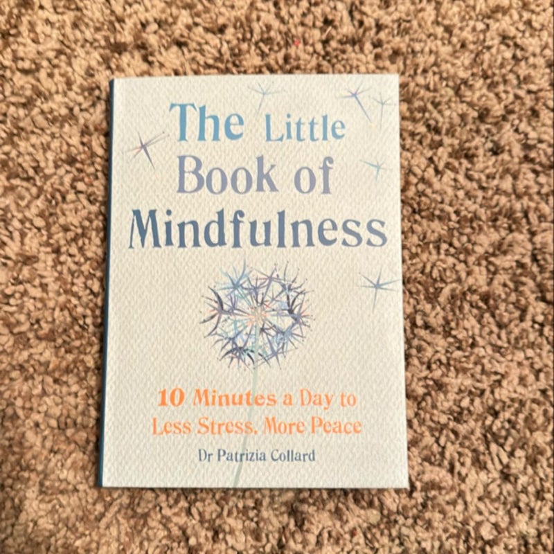 Little Book of Mindfulness