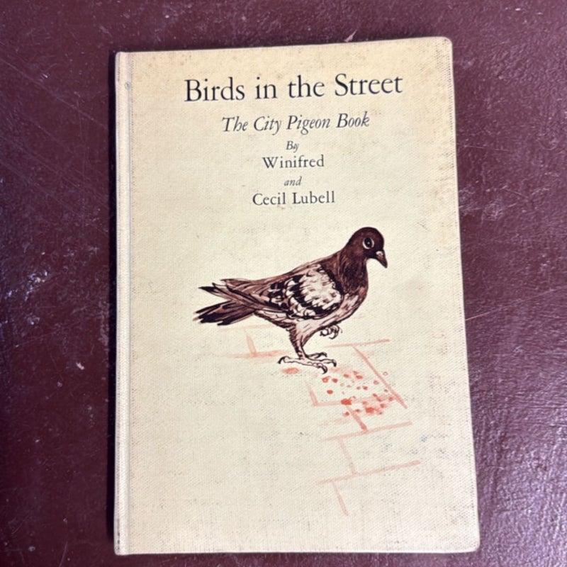 Birds in the Streets 