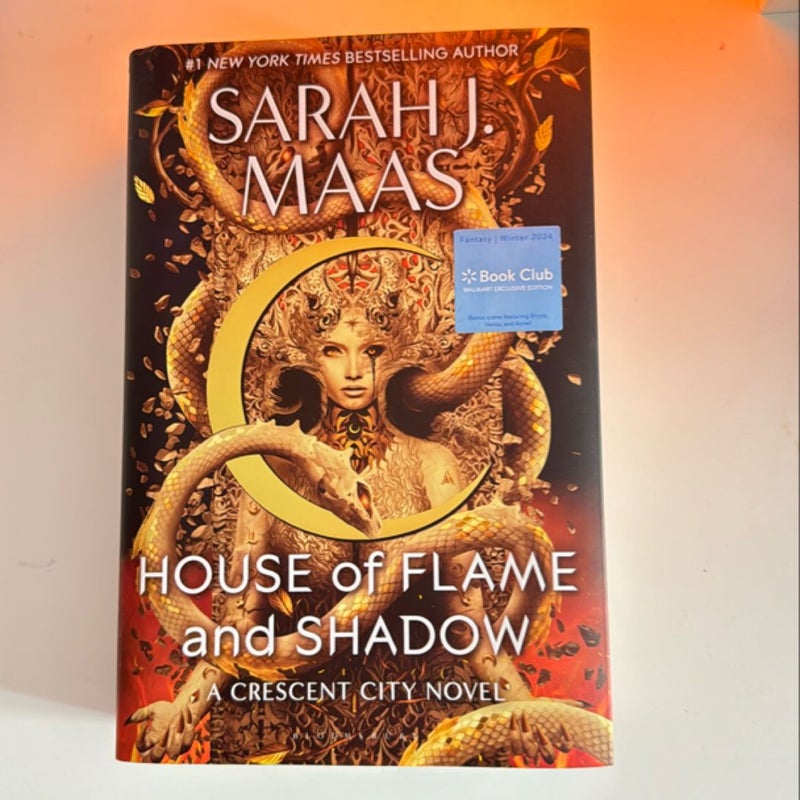 House of Flame and Shadow 