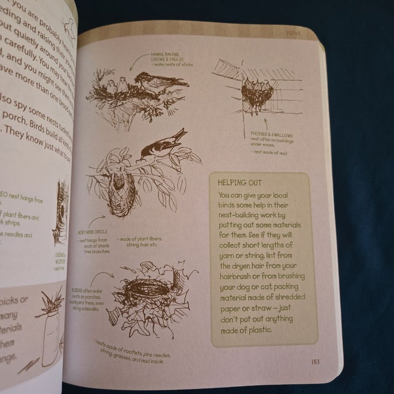 The Nature Connection