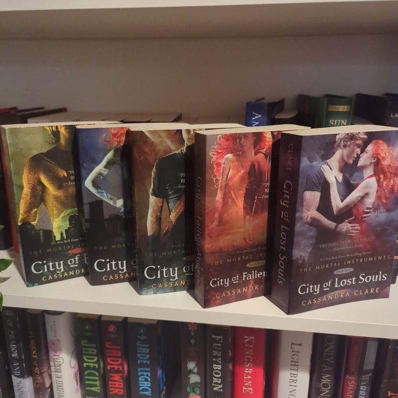 The Mortal Instruments Series