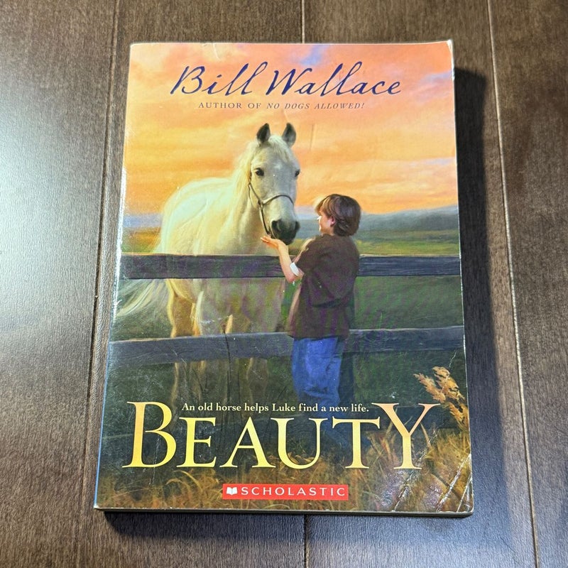 4 Bill Wallace Books