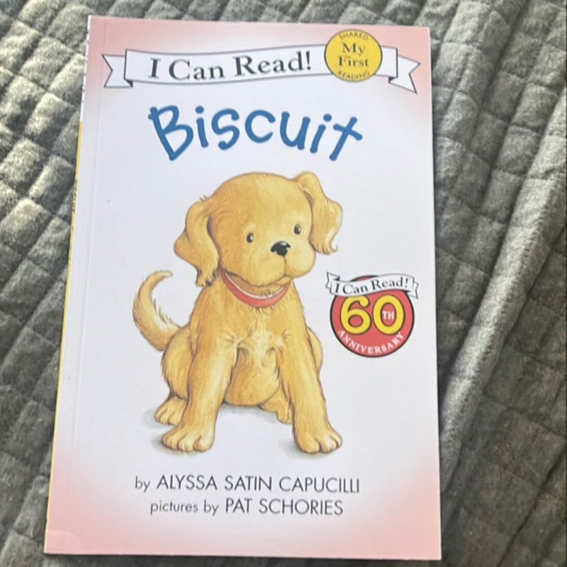 Biscuit