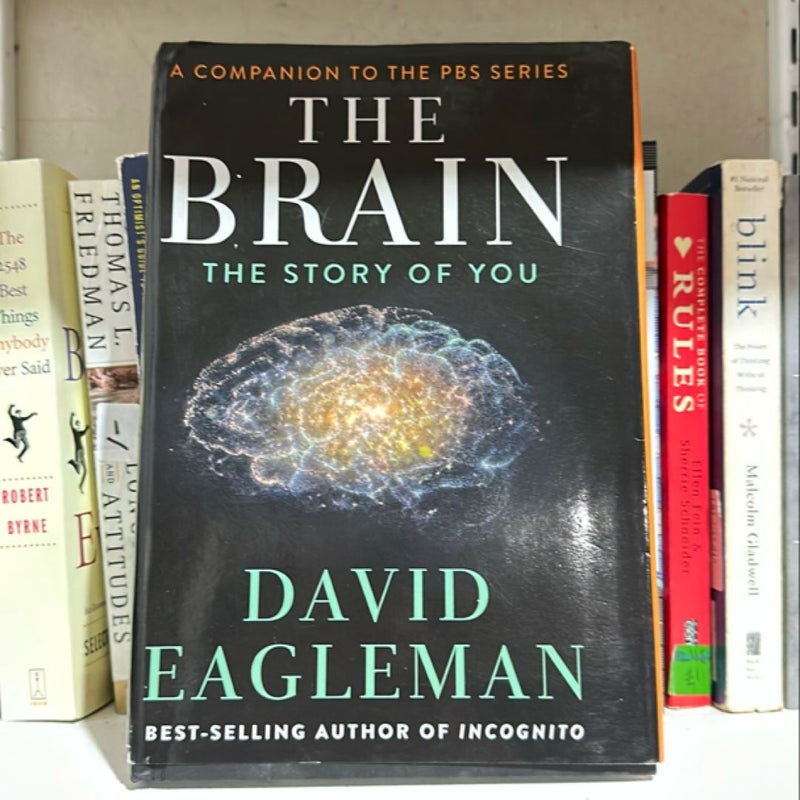 The Brain