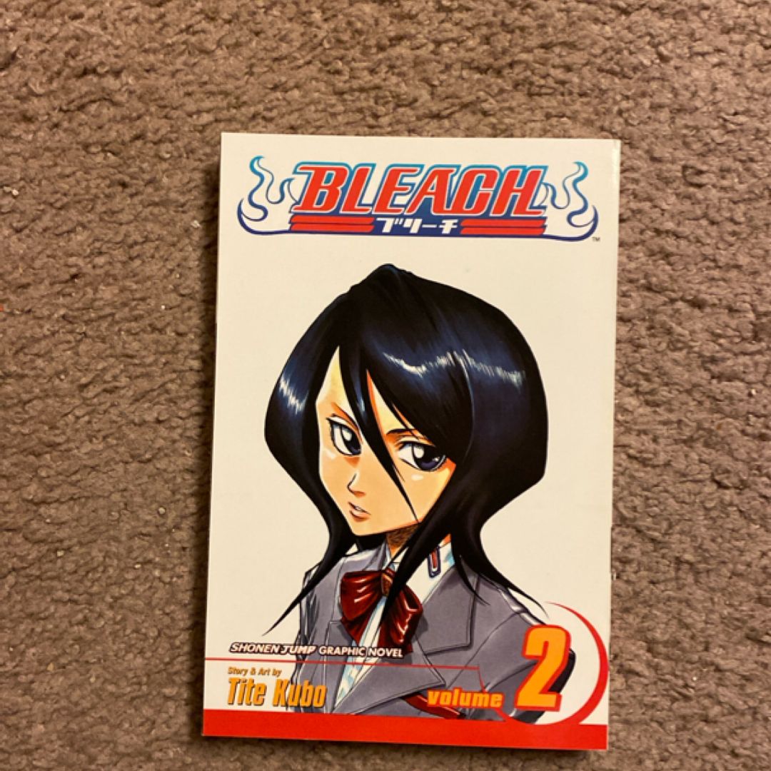 Bleach, Vol. 2