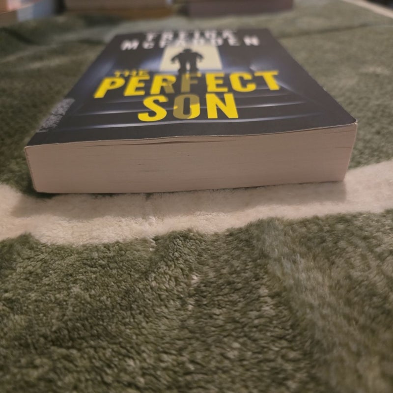 The Perfect Son