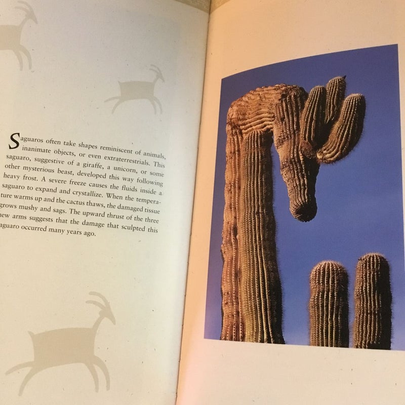 The Great Saguaro Book