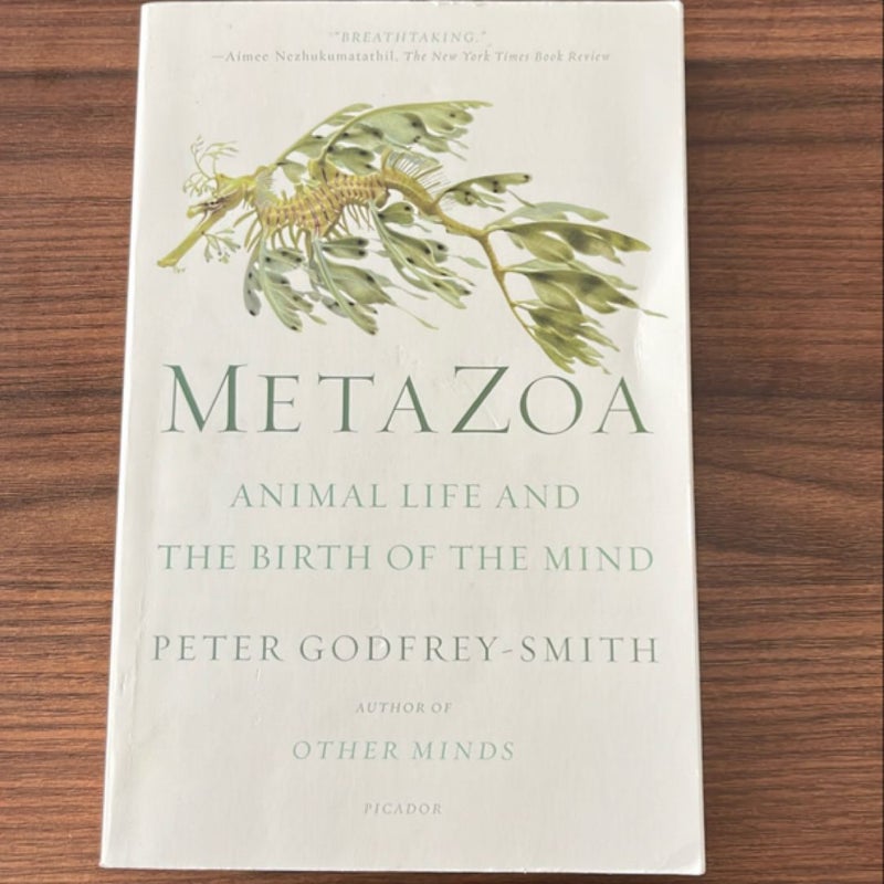 Metazoa