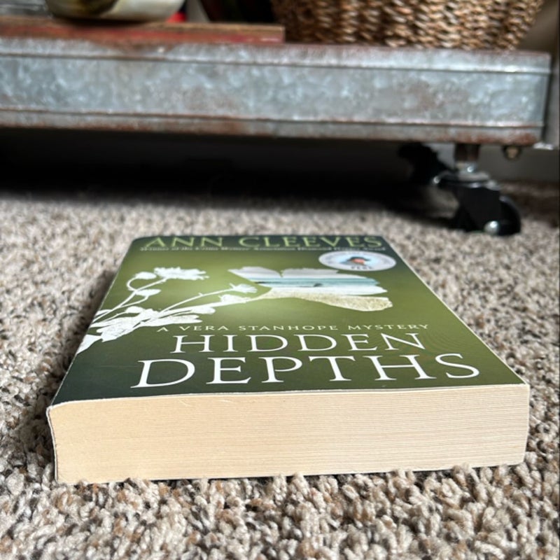 Hidden Depths