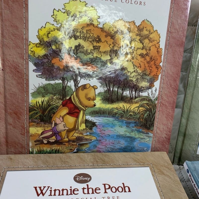 Disney - Winnie The Pooh 4 Book Pack