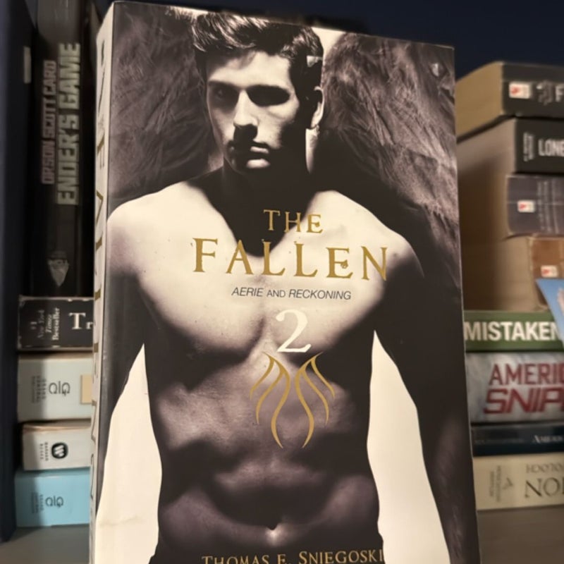 The Fallen 2
