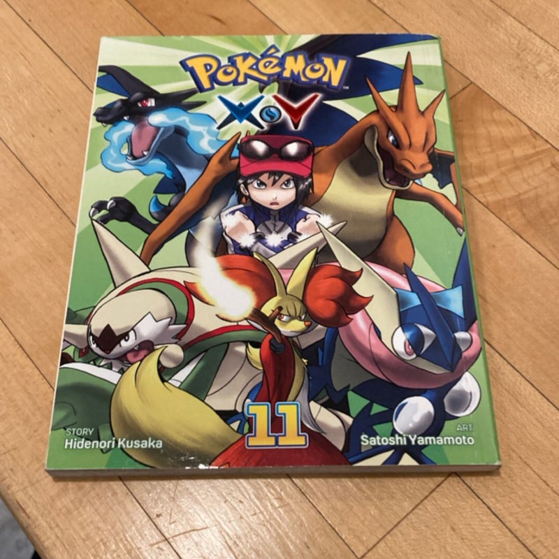 Pokémon X*y, Vol. 11