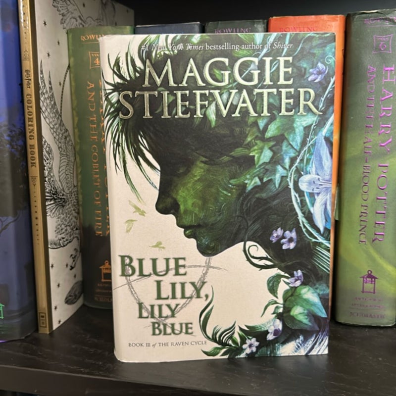 Blue Lily, Lily Blue