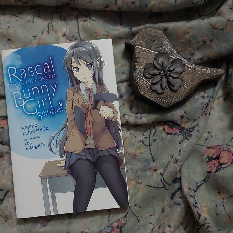 Rascal Does Not Dream of Bunny Girl Senpai (light Novel)