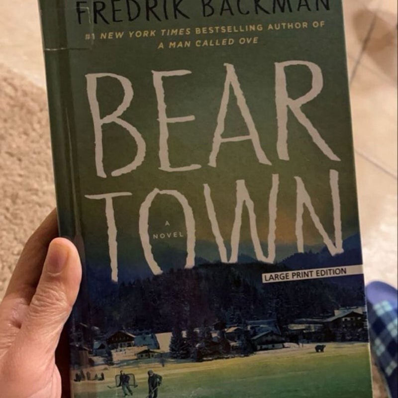 Bear town  A Novel