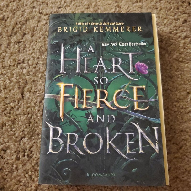 A Heart So Fierce and Broken