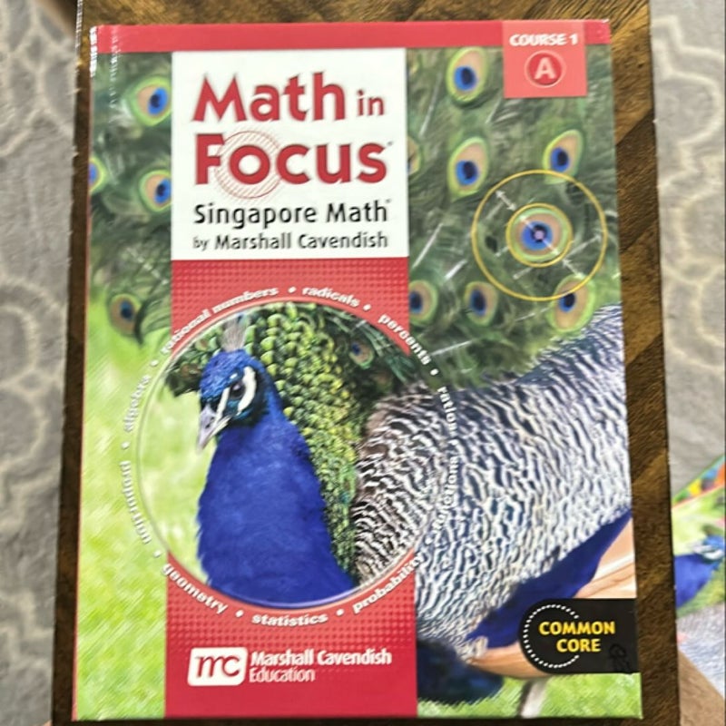 Math in Focus