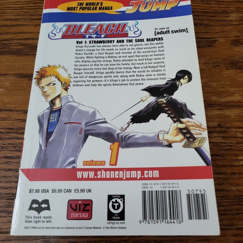 Bleach, Volumes 1, 2 and 3 