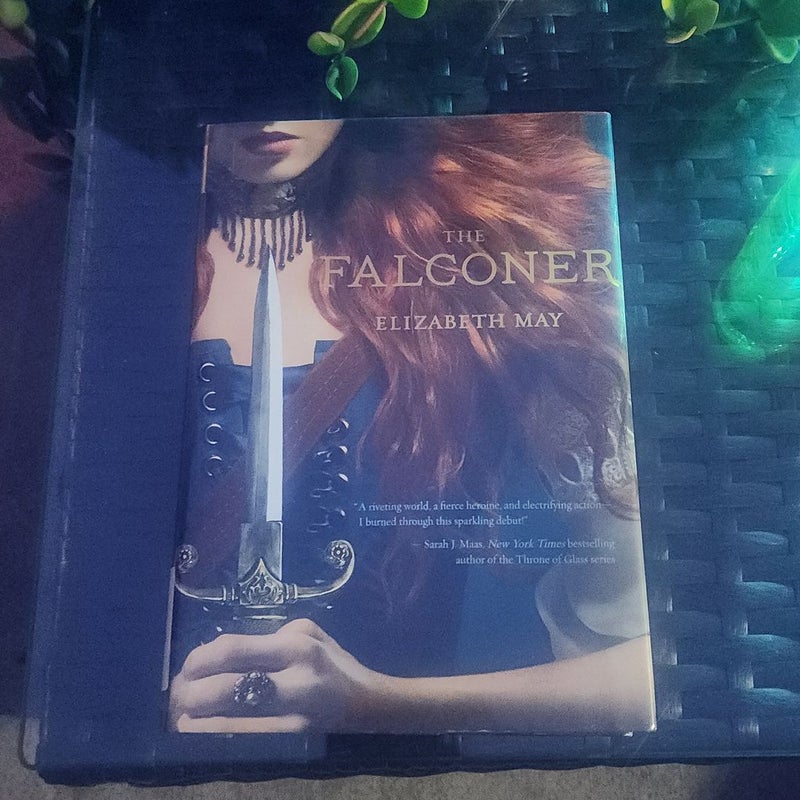 The Falconer