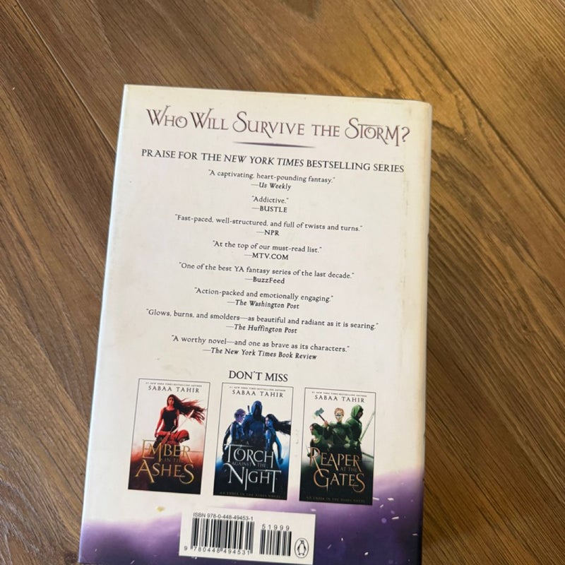 A Sky Beyond the Storm