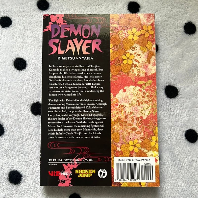 Demon Slayer: Kimetsu No Yaiba, Vol. 21