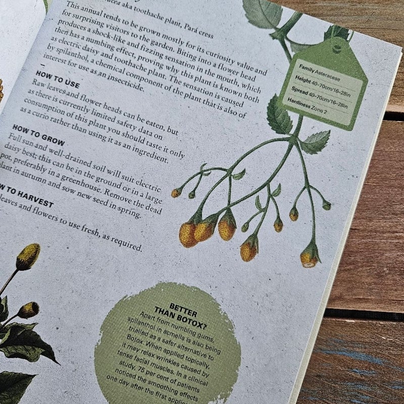 The Kew Gardener's Guide to Growing Herbs