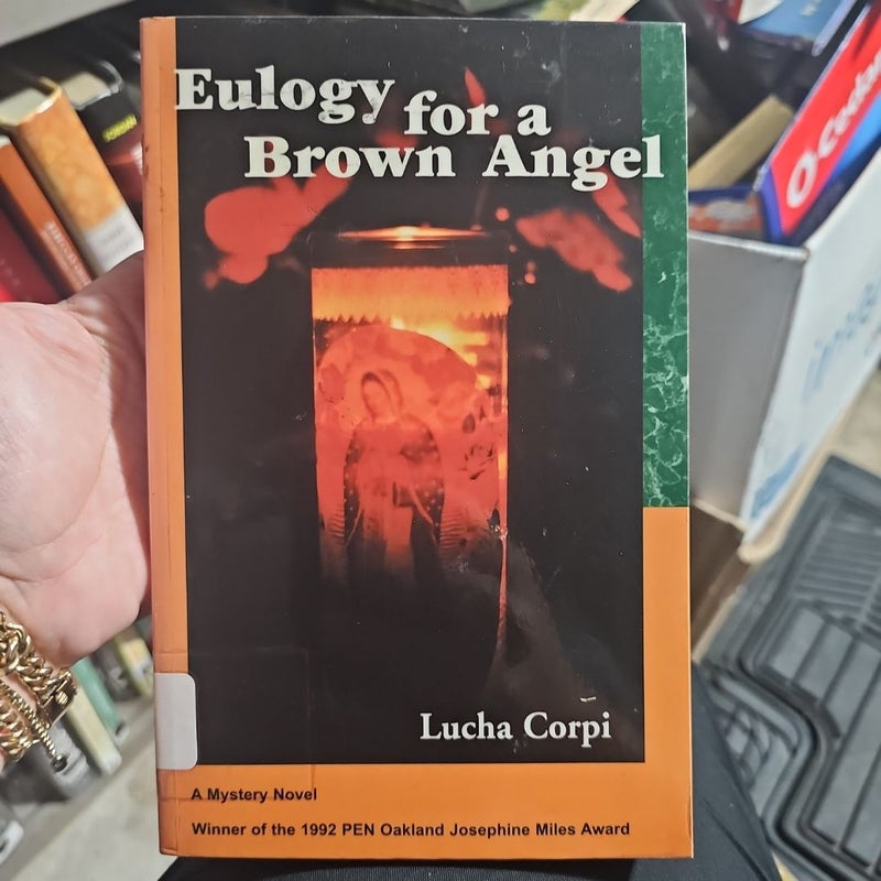 Eulogy for a Brown Angel