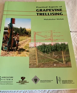 Grapevine Trellising
