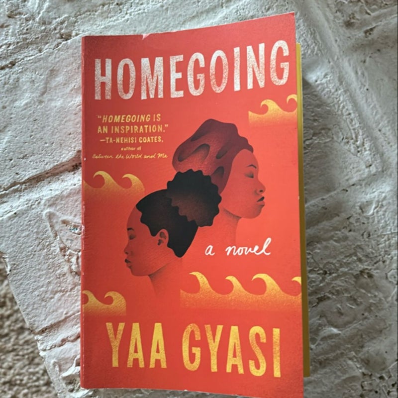 Homegoing