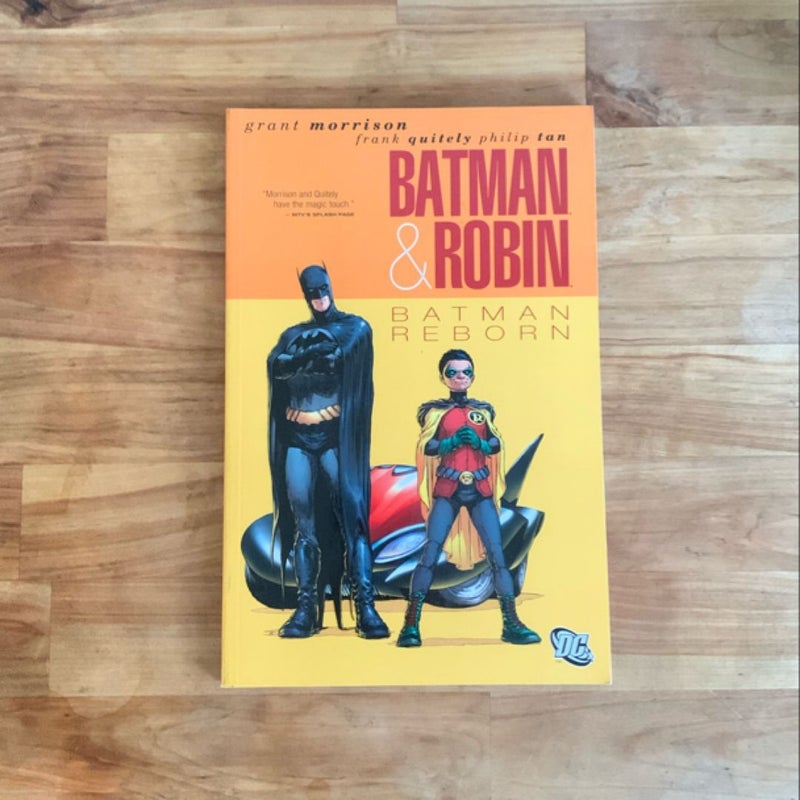 Batman and Robin Vol. 1: Batman Reborn