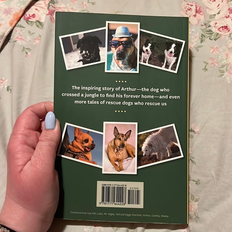 Rescue Dog Tales