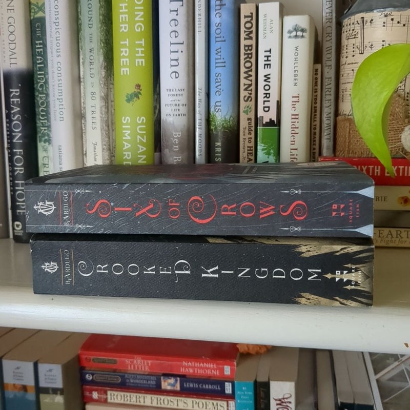 Six of Crows duology 