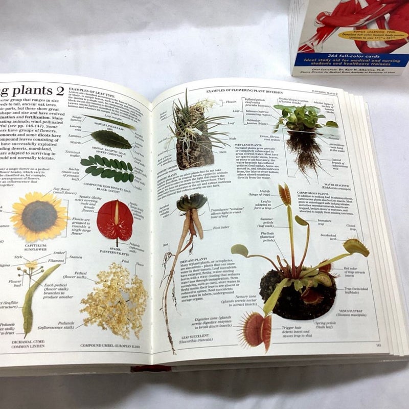 Ultimate Visual Dictionary of Science